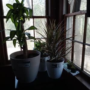 Meet your Posher, Julius